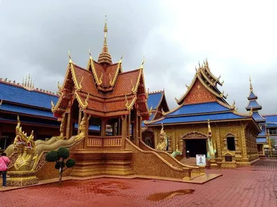 ทริปท่องเที่ยว