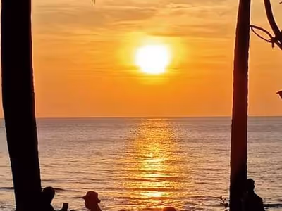 ภาพแกลลอรี่ 11